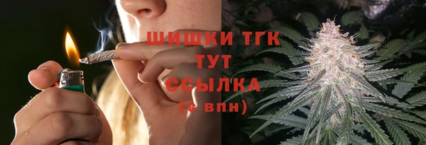 PSILOCYBIN Армянск