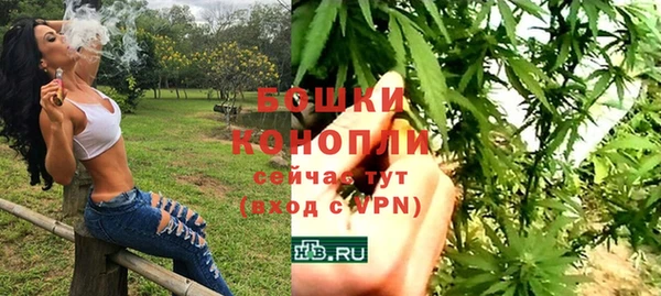 ГАЛЛЮЦИНОГЕННЫЕ ГРИБЫ Кулебаки